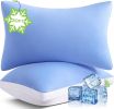 Silky Soft Pillows Queen Size Set of 2, Luxury Hotel Down Alternative Bed Pillows 2 Pack for Side Back Stomach Sleepers, Gusseted Supportive